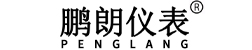 河北鵬朗儀表有限公司